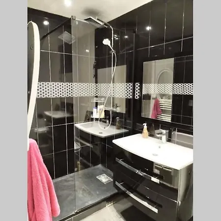 Bel Appartement T3 리옹