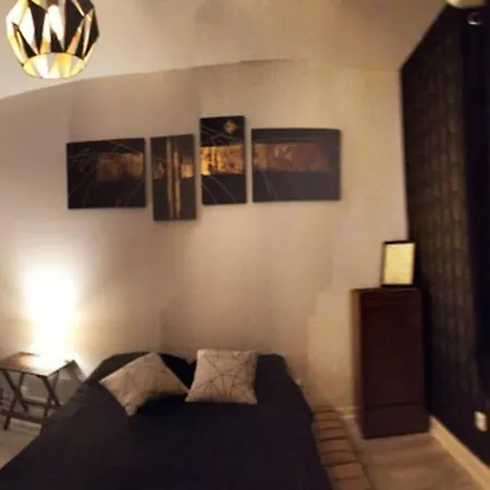 Bel Appartement T3 아파트 리옹